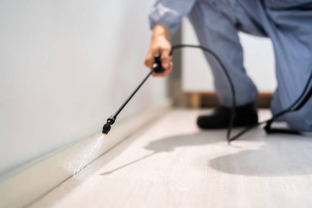 Licensed Pest Control service in Watertown, SD - Show Me Pest Control